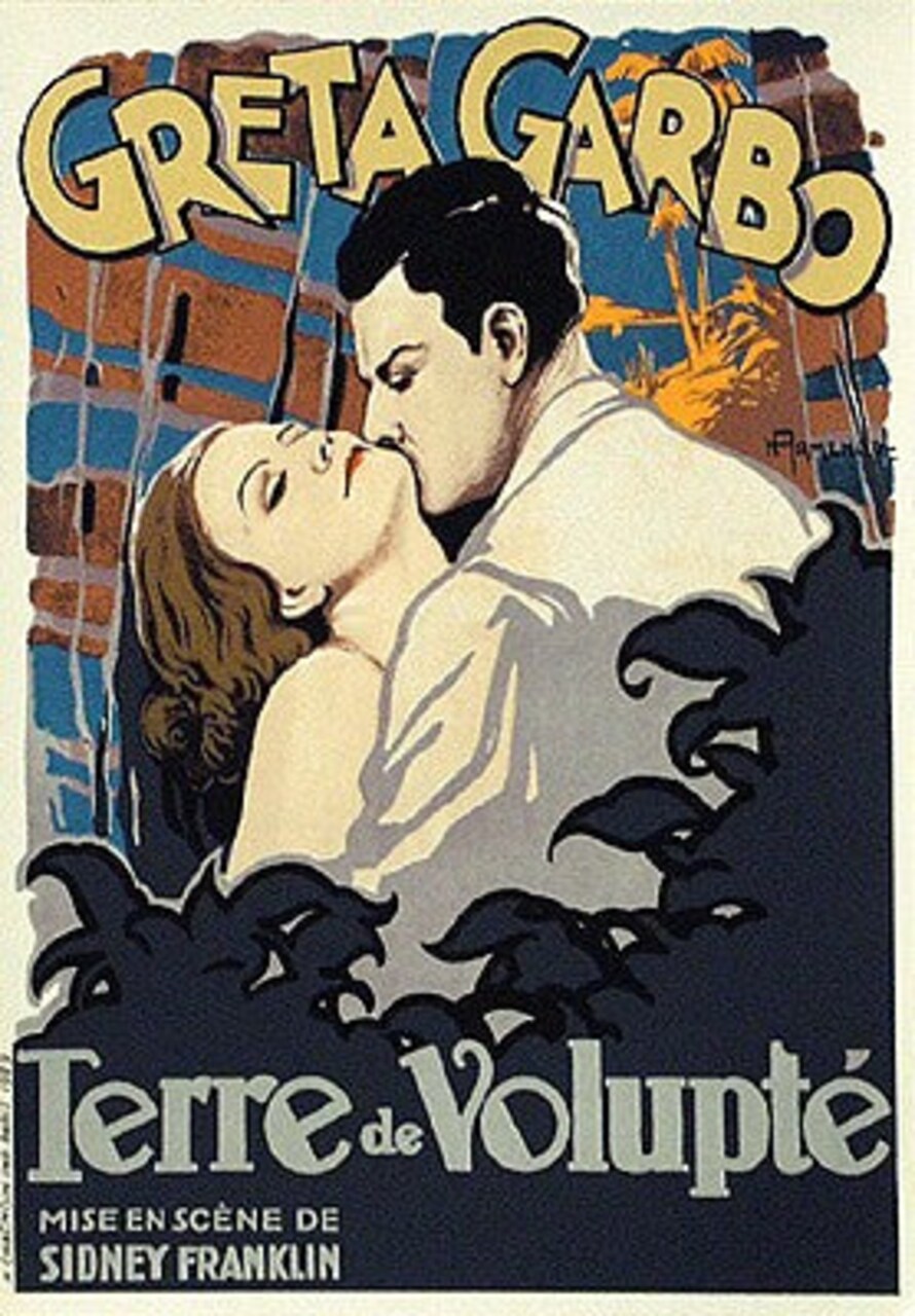 Terre de Volupte Wild Orchids by H. Armengol Wall Art Décor 16 1/2 x 11 1/2 Art Print